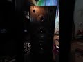 Sony ss-tl4 Review