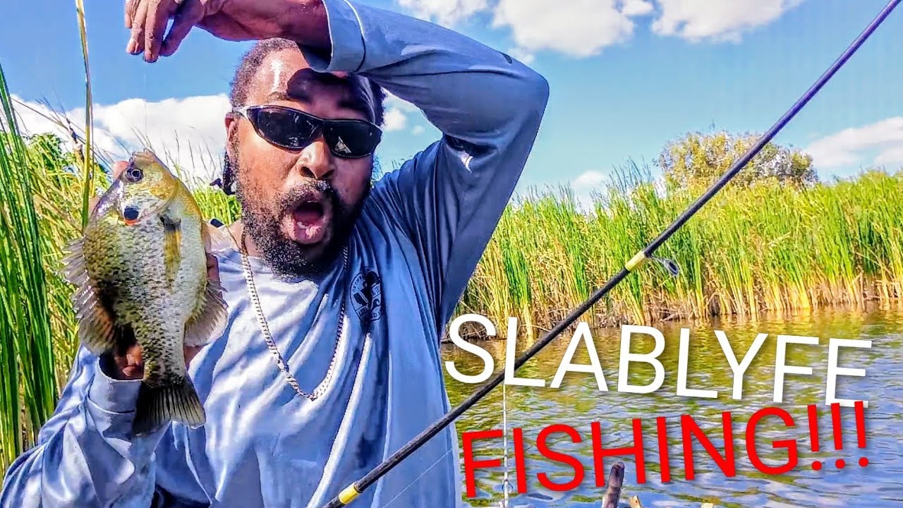  FALL 🍁🍂 SHELLCRACKER FISHING (Catching Giants) #fall #fishing #panfish #giants 