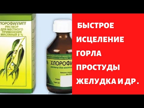 Хлорофиллипт -Каждый раз когда болеете !