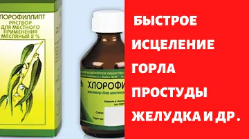 Хлорофиллипт -Каждый раз когда болеете !