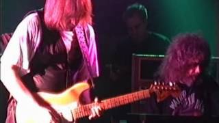 Video thumbnail of "Walter Trout - Girl From The North Country"