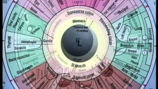Iridology explained by Dr Florrie Kerschbaumer