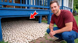 Bir Adam Garip Yumurtalar Buldu - Ama Onlar Çatlayınca, Onlara Dokunduğuna Pişman Oldu