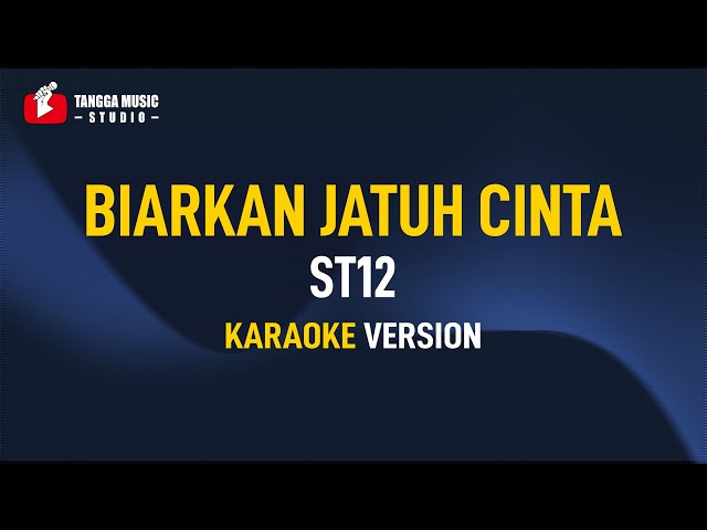 ST12 - Biarkan Jatuh Cinta (Karaoke) Remastered class=