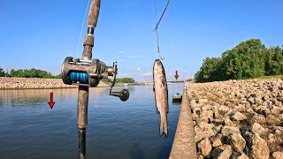 Using Live MULLET At Giant DAM! (LETS GOOO)