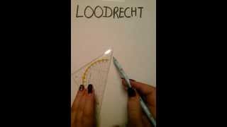 Loodrechte lijnen Net Worth