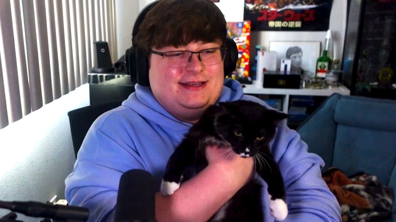 I Adopted Another Kitten