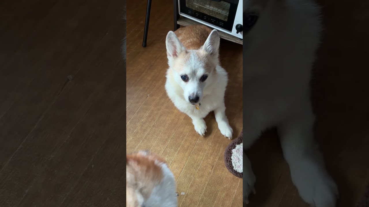 茨城県and福島県弾丸ツアー🐾　編集苦手でそのままで🤭🤭🙏🙏