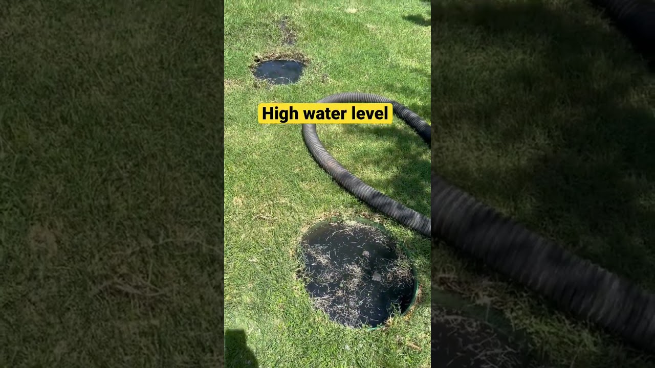 High water level means lots of money