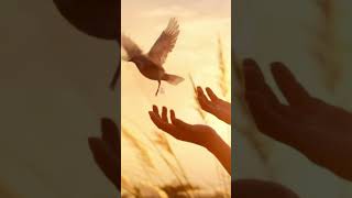 September 22  Verse Of The Day   Gods Mercies Are New Every Morning  Lamentations 32223