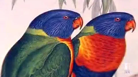 John Gould - ABC News