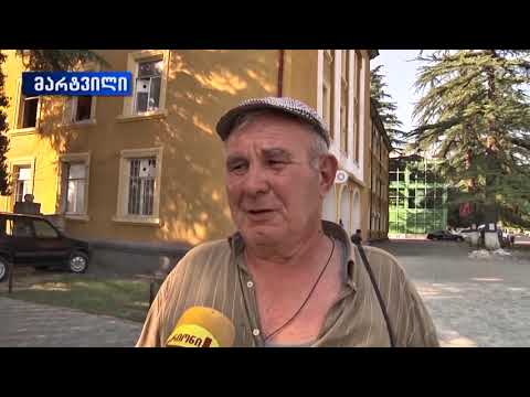 მარტვილის ცენტრალური ნაწილიდან,  ქუჩების მაწანწალა ძაღლებისგან წმენდა აქტიურად ხორციელდება