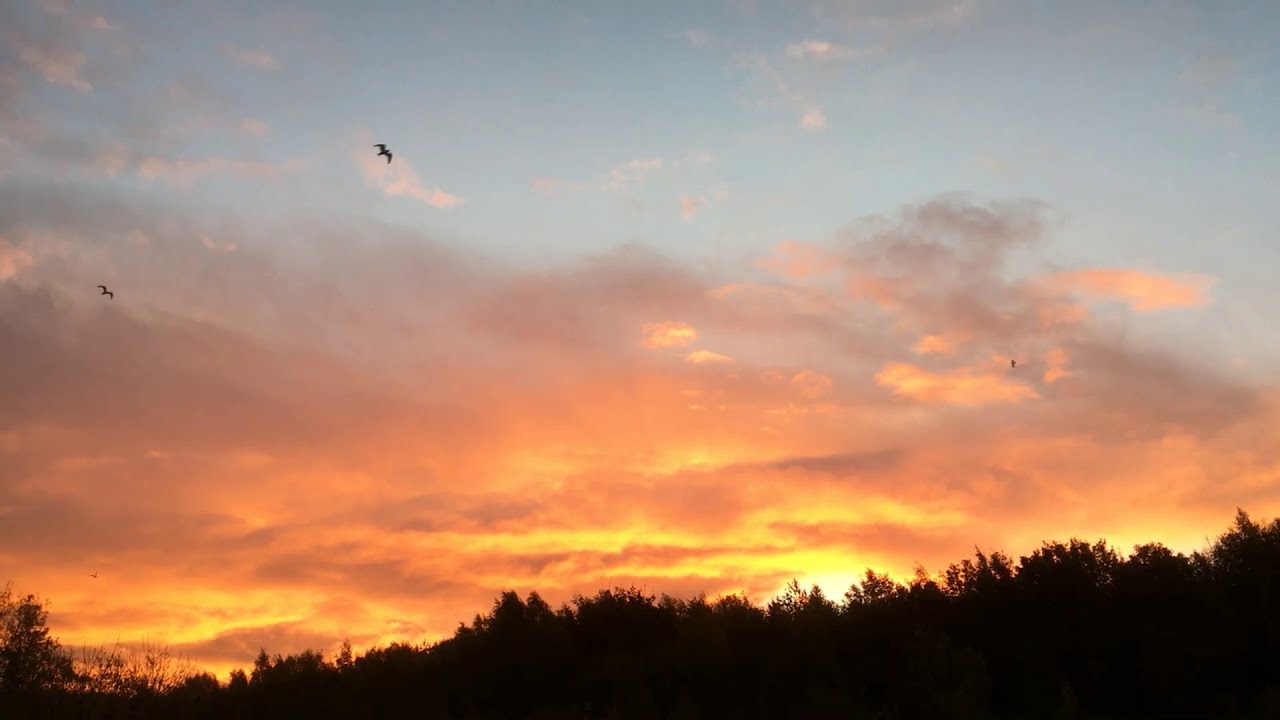 Two Weirs (and spot the kingfisher)