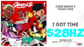 I GOT TIME 528HZ EXTREME BASS BOOST - Chris Brown Young Thug ft. Shad Da God ( Resimi