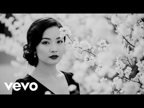 Video Il ritmo della fisarmonica al tramonto Nostalgia classica lungo l'iconica Senna