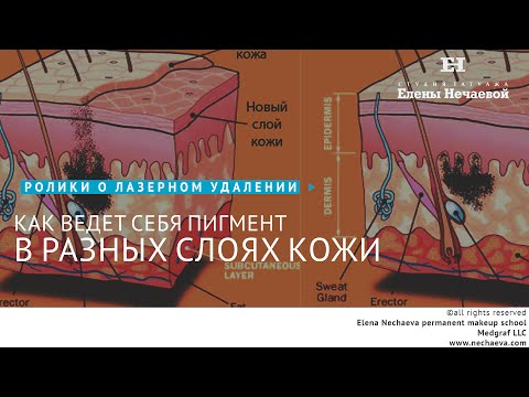 Видео: Показывает ли кровь эффект Тиндаля?