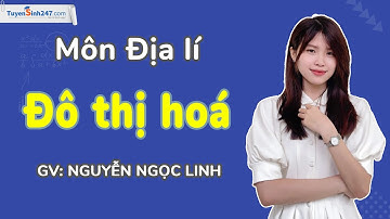 Đô thị hoá - Bài 8 | Địa lí 12 (KNTTVCS) | GV: Nguyễn Ngọc Linh