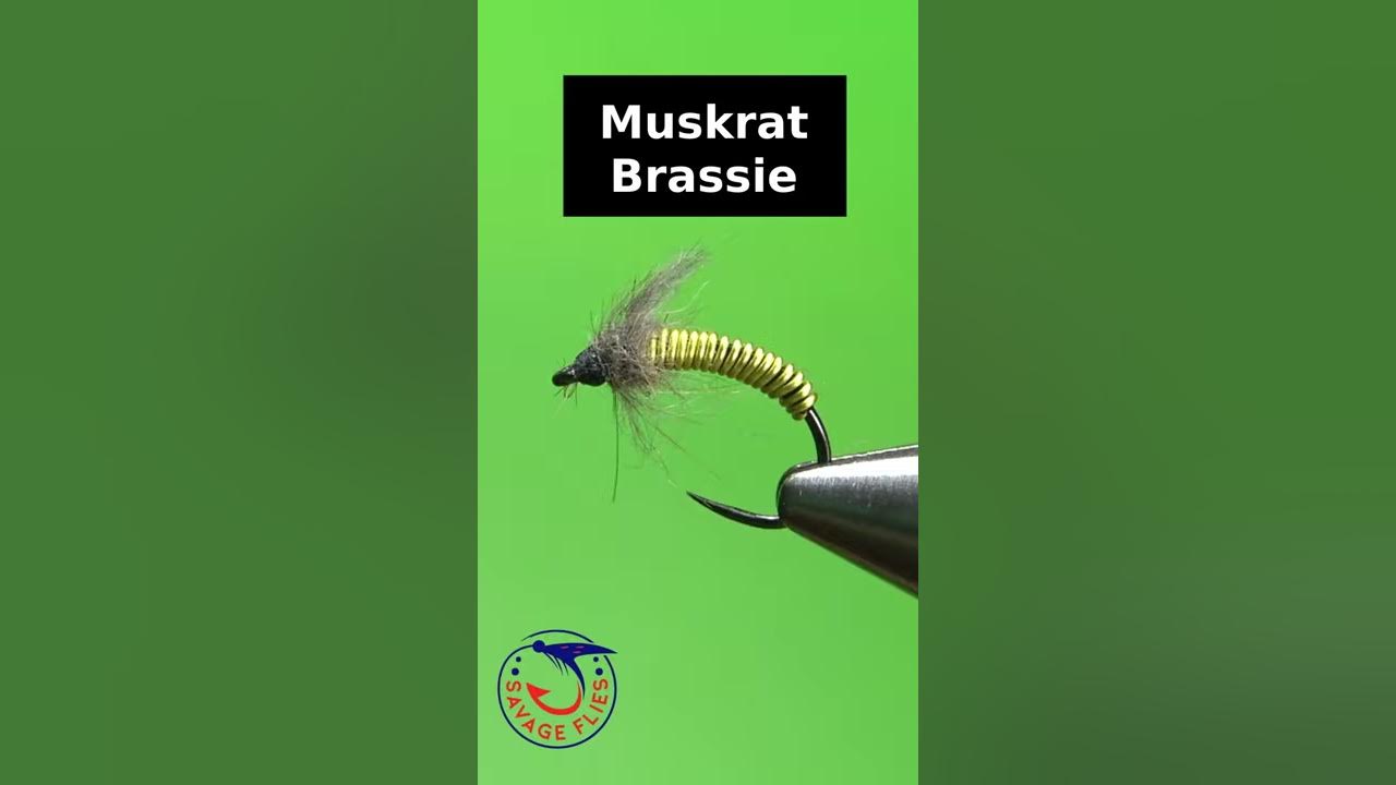 Muskrat Brassie - Time Lapse Fly Tying 