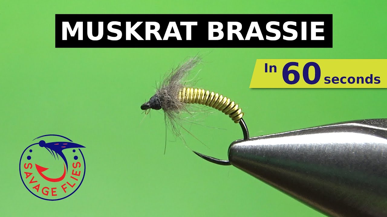 Muskrat Brassie Time Lapse Fly Tying YouTube