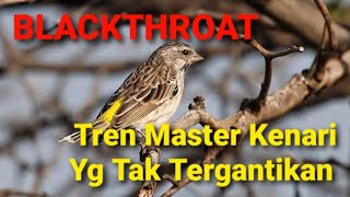 Audio Masteran Burung - Blackthroat Dan Air Mengalir