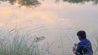 Fish Hunting|Fisherman Catching Big Rohu Fishes Flow Water