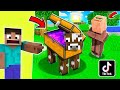 AMAZING TIKTOK MINECRAFT HACKS THAT ACTUALLY WORKS | ANDREOBEE