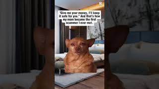 Whyyyy mum why #sad #mum #me #funny #scammer #dog