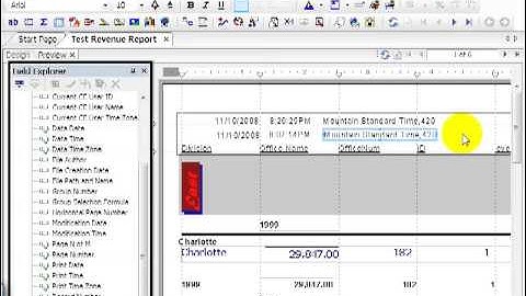 38 Crystal ReportsXI Design a Report Beyond the Basics 2   Special Fields
