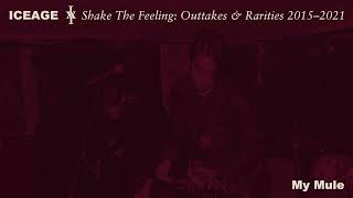 Iceage - Shake The Feeling: Outtakes & Rarities 2015-2021 (Full Album)