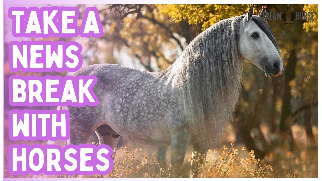 Peaceful Escapes: Horses & Nature for Relaxation