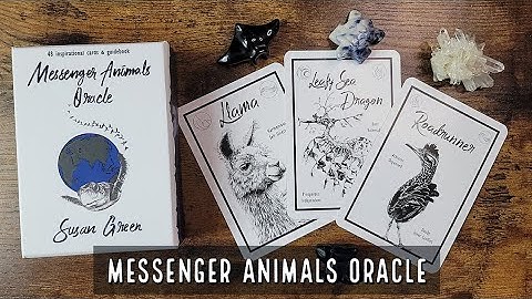 Messenger Animals Oracle | Unboxing and Flip Through