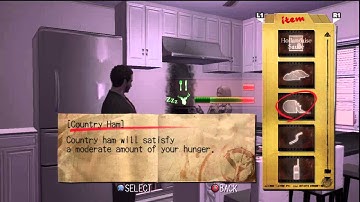 Deadly Premonition: The Director