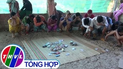 THVL | Triệt phá tụ điểm đánh bài ăn thua bằng tiền ở Mỹ An