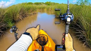 Exploring Narrow Ditches for Giant Game Fish {Daiwa Steez A TW HLC}