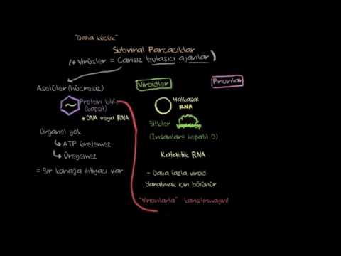 Subviral Parçacıklar: Viroidler ve Prionlar (Biyoloji / Hücreler)