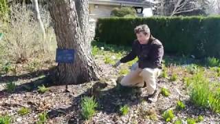 Spring Cleanup, Earth Day and Other Tips - Mondays with Mark - Facebook Live 04.20.2020