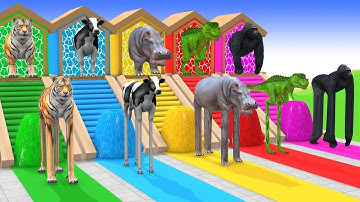 Long Slide Game with Cow Elephant Gorilla Hippopotamus Tiger 3d Animal Game Funny 3d Animals
