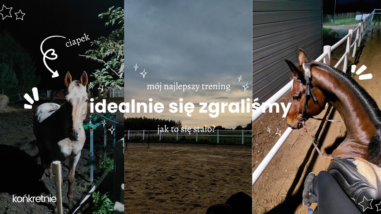 JAK IDEALNIE POROZUMIEWAĆ SIĘ Z KONIEM czyli jeden z najlepszych treningów