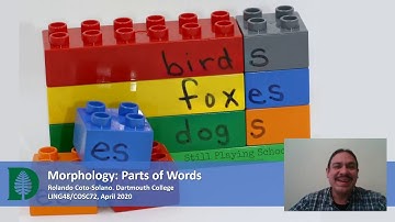 Morphology: Parts of Words (Accelerated Computational Linguistics 2020.W01.05)