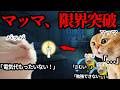 父親が節約しすぎて、母親にブチギレられました #猫ミーム #猫マニ #あるある