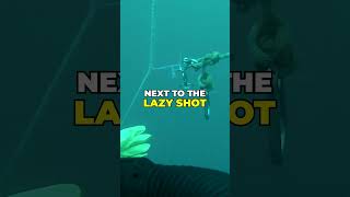 Safer Technical Diving with the Lazy Shot