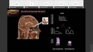 Urology Teaching Collaborative | 11/24/20 | Dr. Darius Paduch: Male Infertility