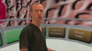Dr. Brian McFarlin's Second Life Heart Simulator