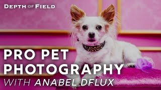 Professional Pet Photography | #BHDoF