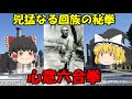 兇猛なる回族の秘拳 心意六合拳