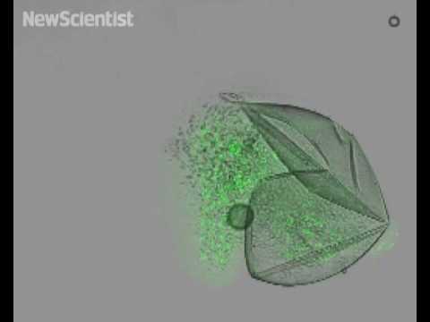science jobs london Tiny grenades deliver drugs by detonation