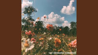 our memories remained - Everfield