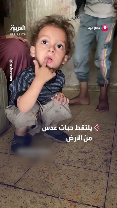           
 - نشر قبل 16 دقيقة