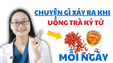 Chuyện Gì Xảy Ra Khi Uống Trà Kỷ Tử Mỗi Ngày | Dược Sĩ Lan
