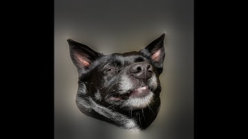 11/14/25 Dookie stream of Black ops 2 with a mod menu/MWIII/BF6 Redsec